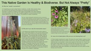 Sample sign explaining why Native gardens do not look "pretty" to the uneducated